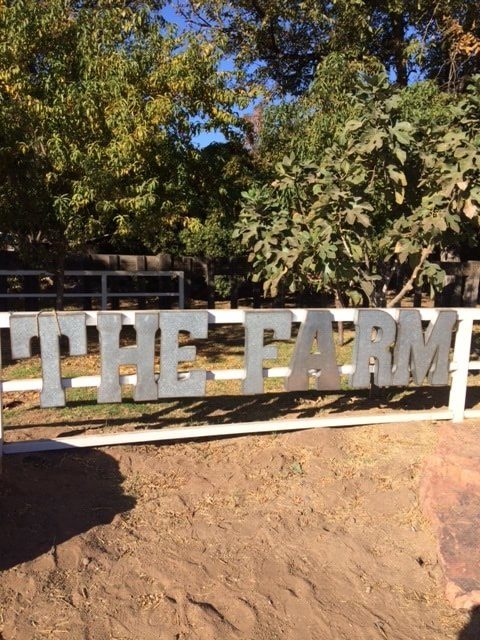 The Farm at South Mountain is one of several locations across the Valley offering holiday cooking classes.