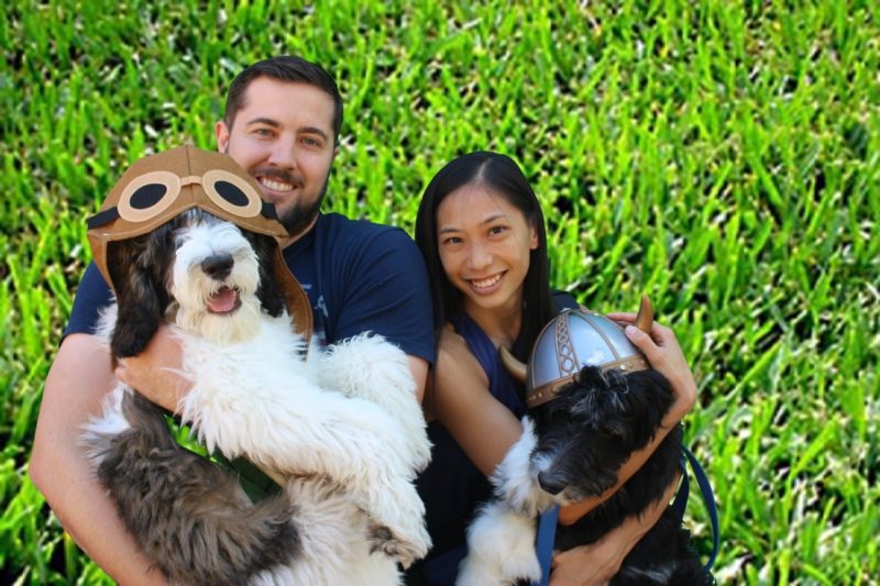 Barks and Brews