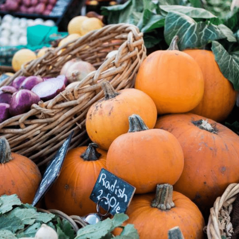 101418 Two ‘Phabulous’ Events Coming To The Downtown Farmers Market